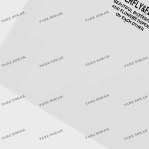 KOD Trend Erkek Kelebek & Çiçek Grafikli Tişört