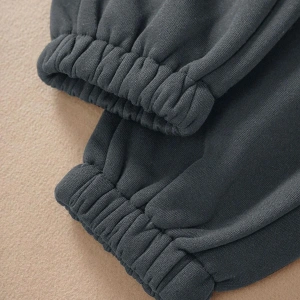 Letter Graphic Drawstring Waist Thermal Lined 4 Mevsim Eşofman