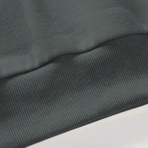 Manfinity Sporsity Letter Graphic Lined Sweatshirt Gri