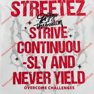 Model 3840 Erkek Yazlık Yuvarlak Yaka Kısa Kollu Günlük Tişört, Yaz