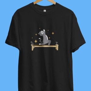 Oversize Reformer Pilates Spor Sporcu Çalışkan Kedi Tasarım Baskılı Unisex Tişört