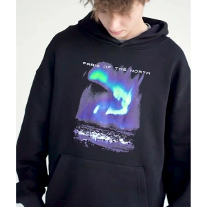 Unisex Paris Sweatshirt Hoodie Siyah