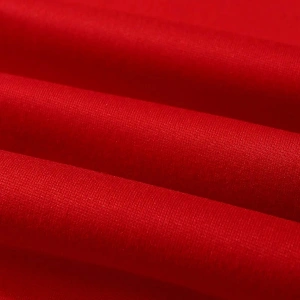 Yasolin----Kadın Kırmızı Lips Baskılı Kapüşonlu Sweatshirt