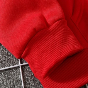 Yasolin----Kadın Kırmızı Lips Baskılı Kapüşonlu Sweatshirt