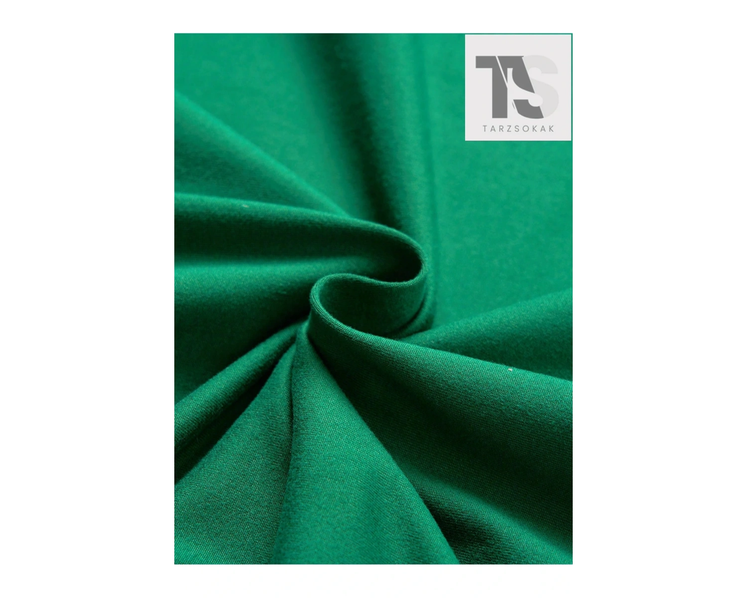 Academia Erkek Kafatası & Slogan Baskılı Kısa Kollu T-shirt