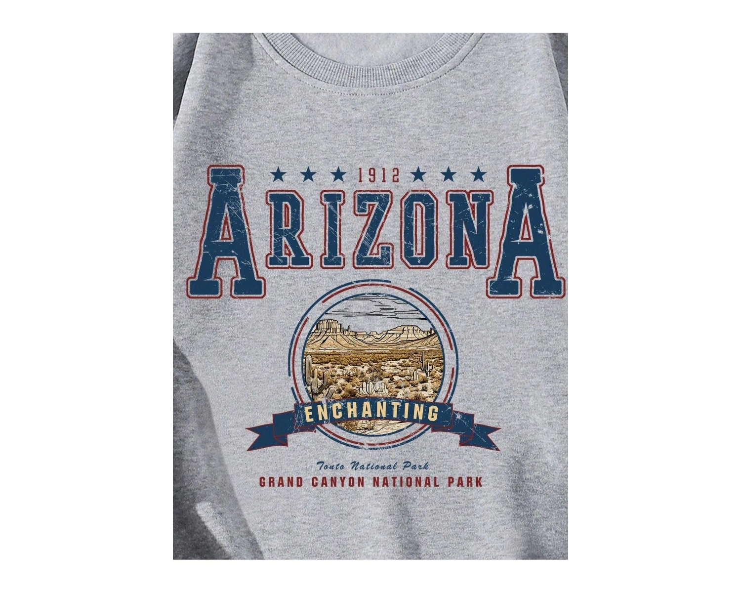 Arizona Baskılı Üç İplik Unisex Oversize Sweatshirt Gri