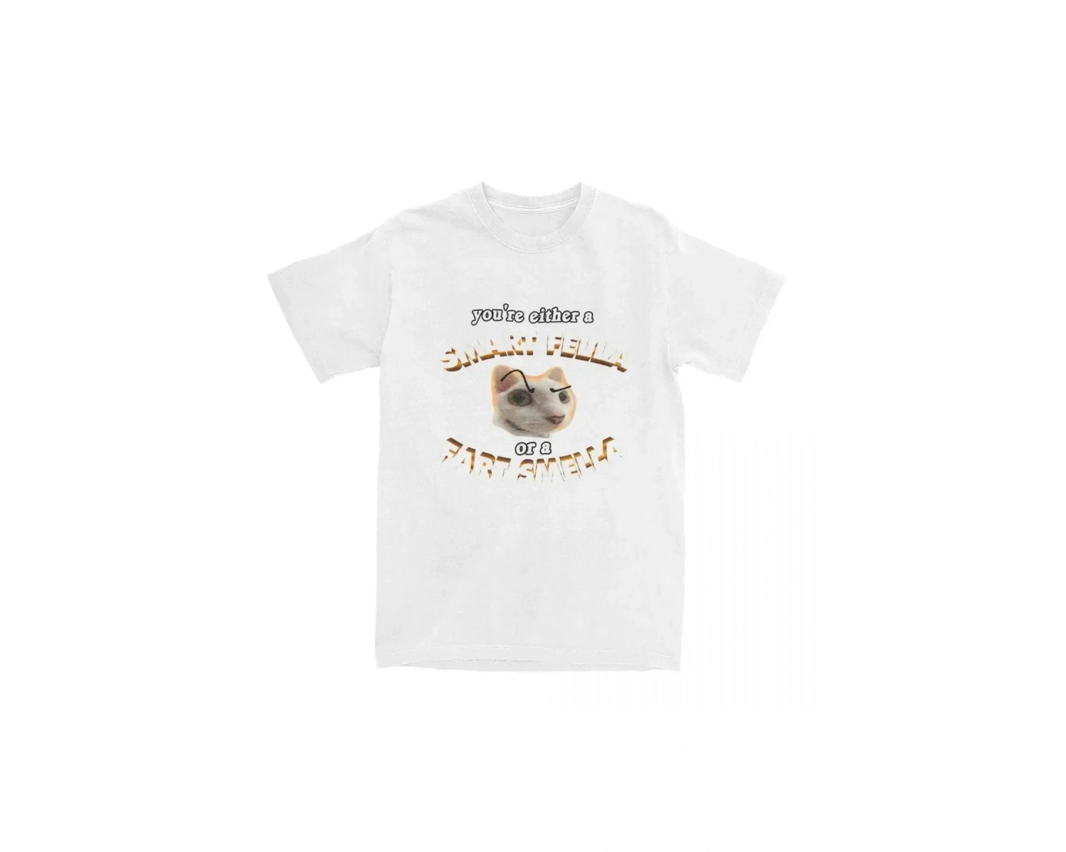 Beyaz Komik Meme Sen Akıllı Bir Fella veya Osuruk Smella Tee Yenilik Y