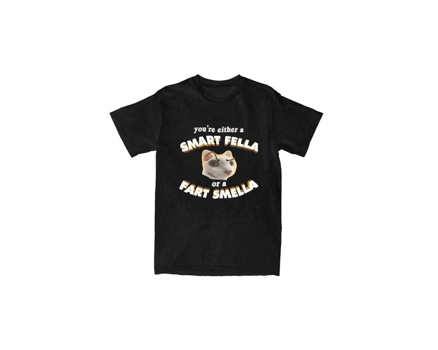 Beyaz Komik Meme Sen Akıllı Bir Fella veya Osuruk Smella Tee Yenilik Y