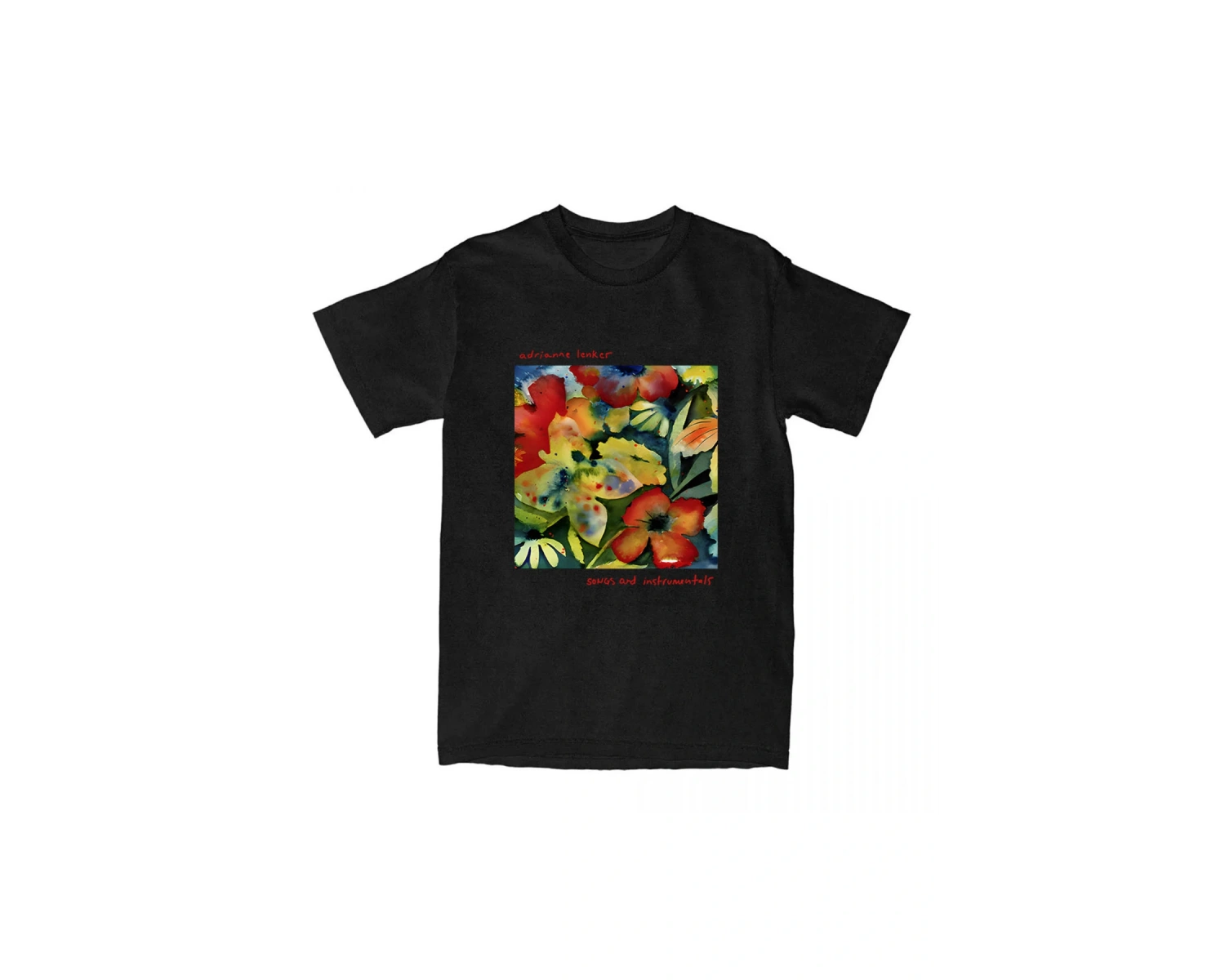 Beyaz Şarkılar ve Enstrümantılar leri Şarkıcı Adrianne Lenker Baskı Y