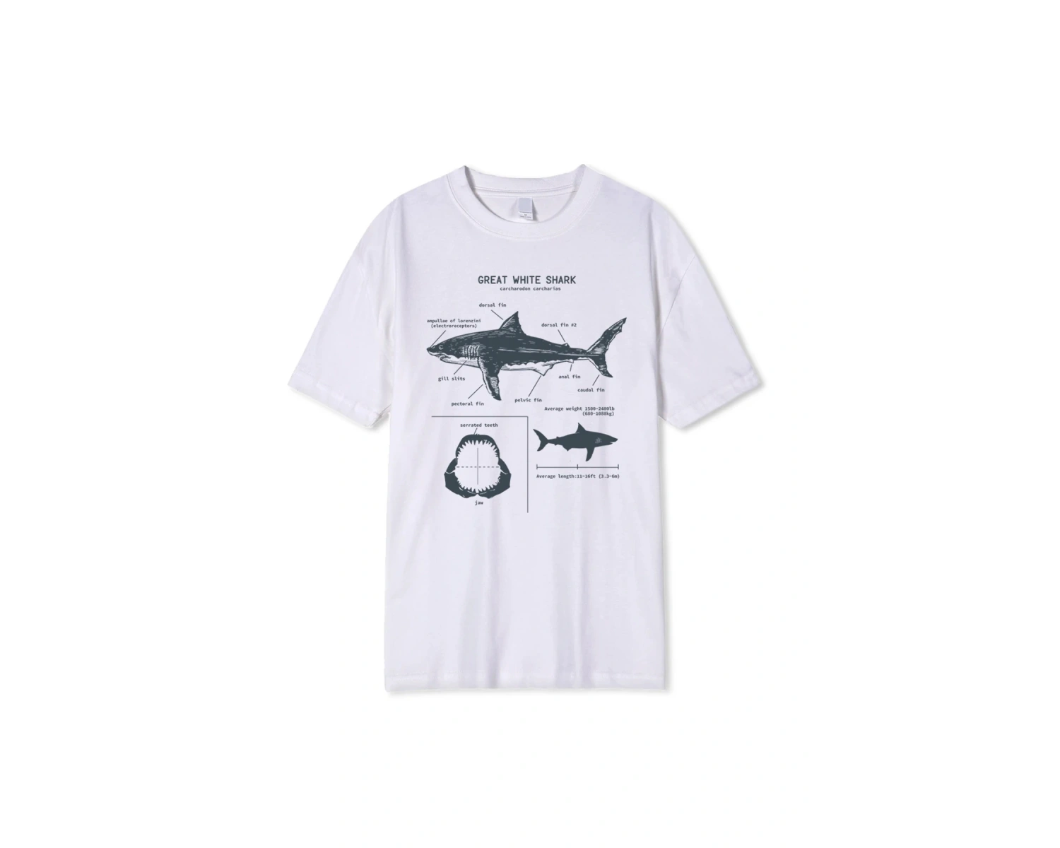 Beyaz Sevimli ve Bulanık Domo Kun T-shirtya uygun Harajuku