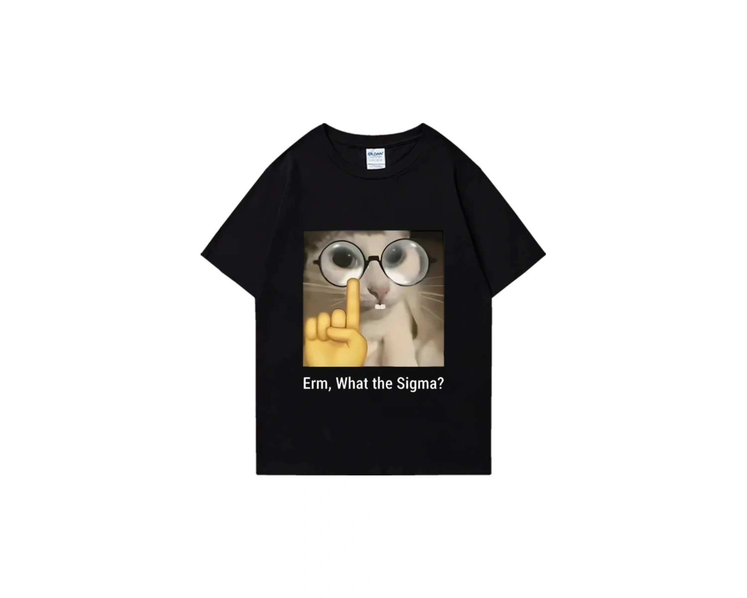 Erm, What The Sigma? Meme Funny T-Shirts Silly Cat Humor Print T Shirt Men Women Cute vintage