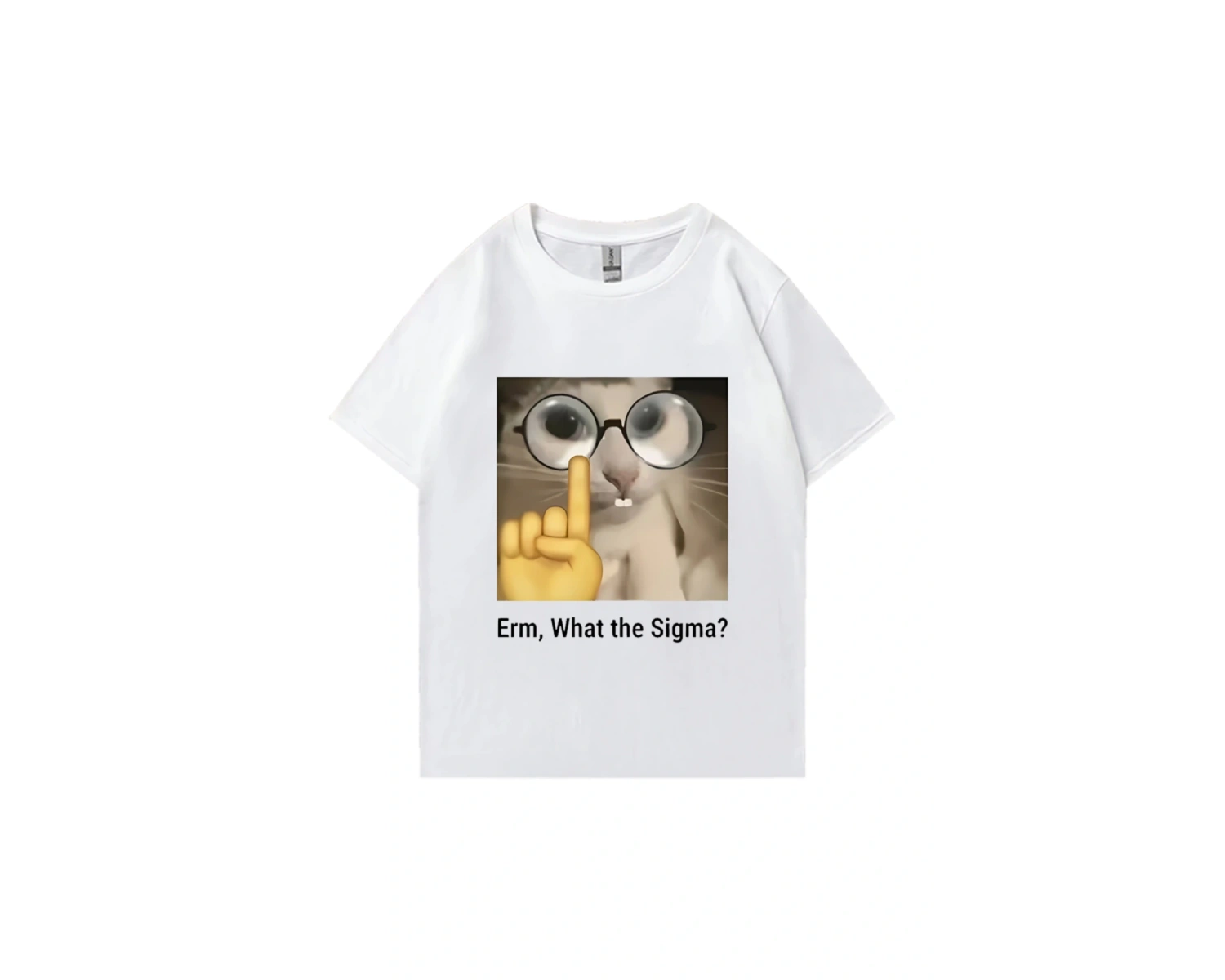Erm, What The Sigma? Meme Funny T-Shirts Silly Cat Humor Print T Shirt Men Women Cute vintage