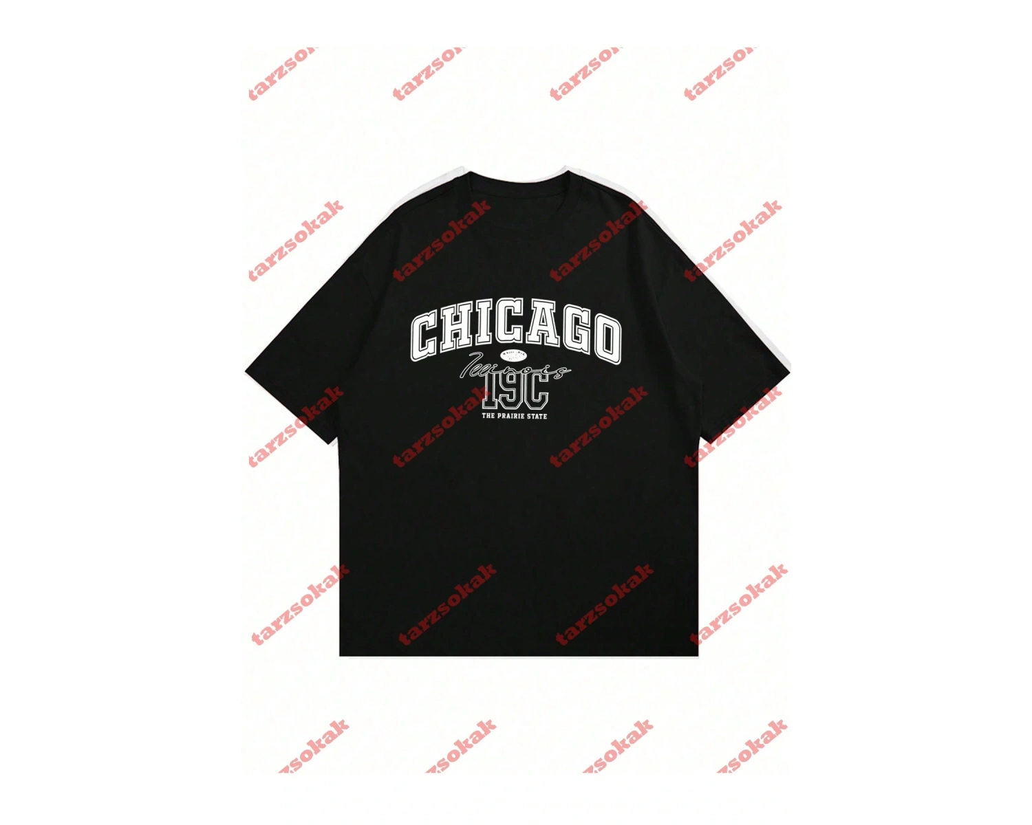 Model 3461 Erkek Yazlık Yuvarlak Yaka Kısa Kollu Günlük Tişört, Yaz