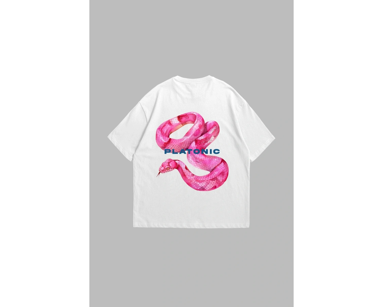 Platonic Baskılı Oversize Unisex Beyaz