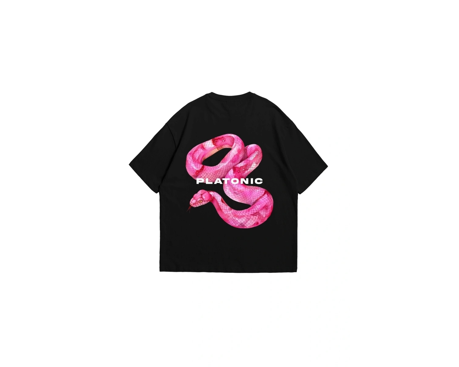 Platonic Baskılı Oversize Unisex Beyaz