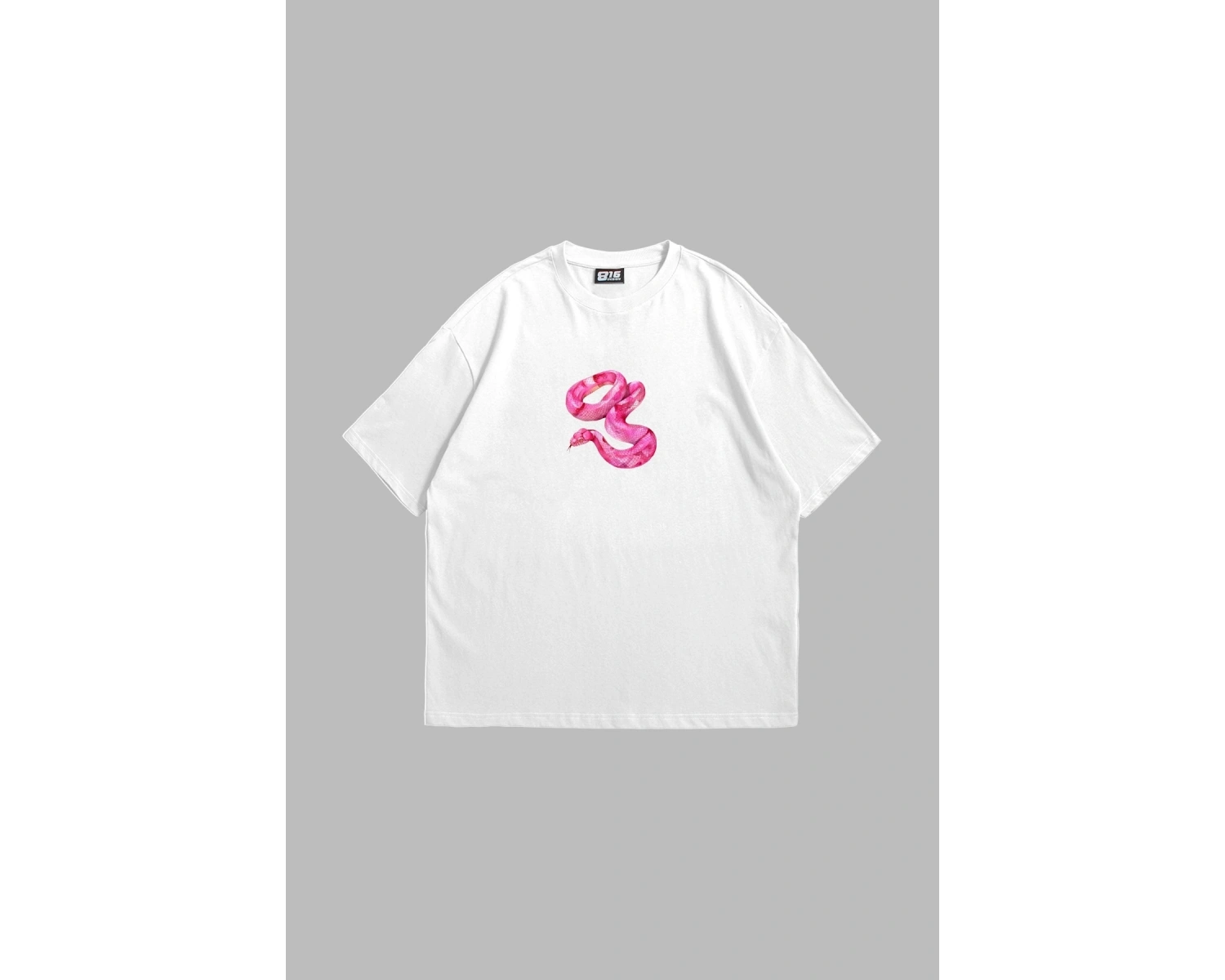 Platonic Baskılı Oversize Unisex Beyaz