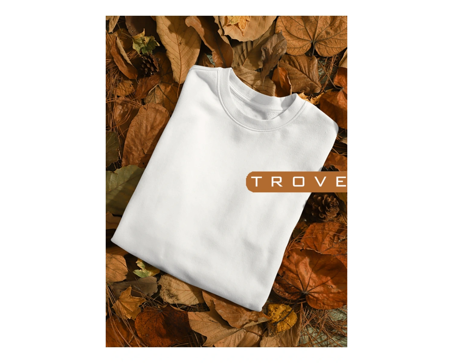 Unısex Kadın Erkek Basic Düz Standart Kalıp Bisiklet Yaka Pamuk Sweatshirt Beyaz