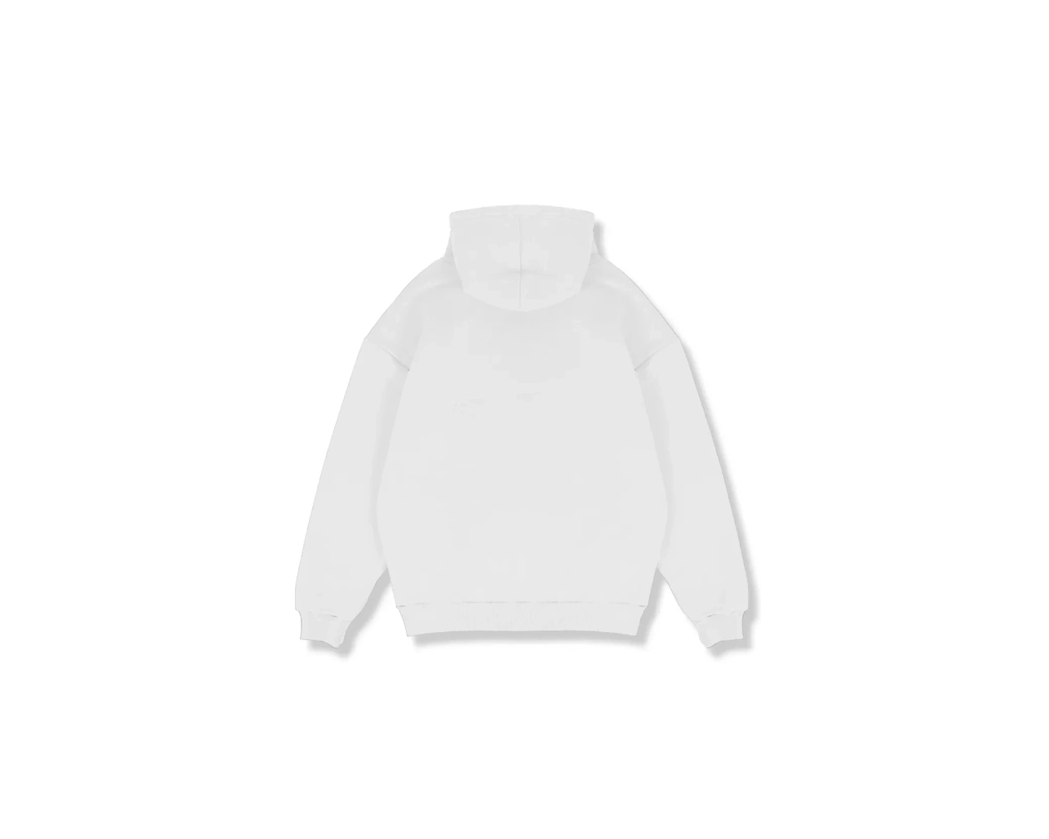 Why Not Baskılı Beyaz Oversize Unisex Kapüşonlu