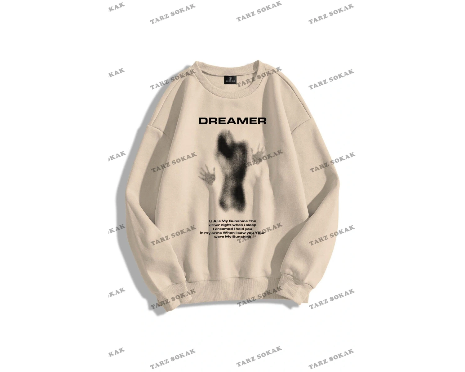 Y2K Unisex Dreamer Bisiklet Yaka Sweatshirt Hoodie KOD 1757 Gri