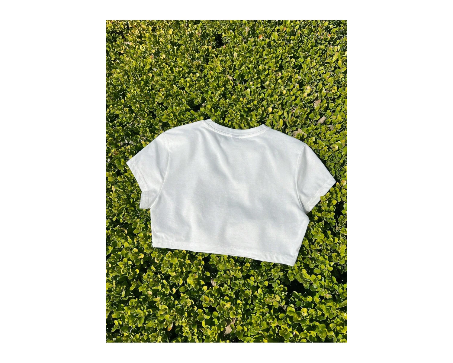 Yıldız Grafikli Yuvarlak Yaka Kısa Kollu Crop