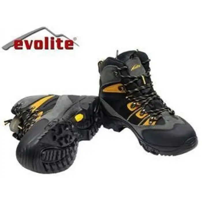 Evolite Flexion Outdoor Bot