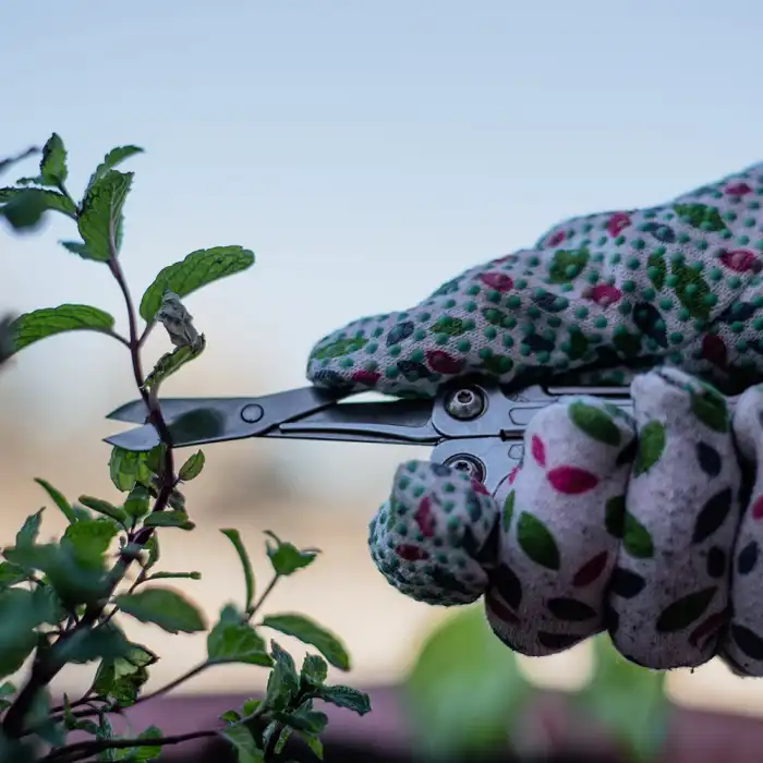 Leatherman Wingman Çok Amaçlı Pense