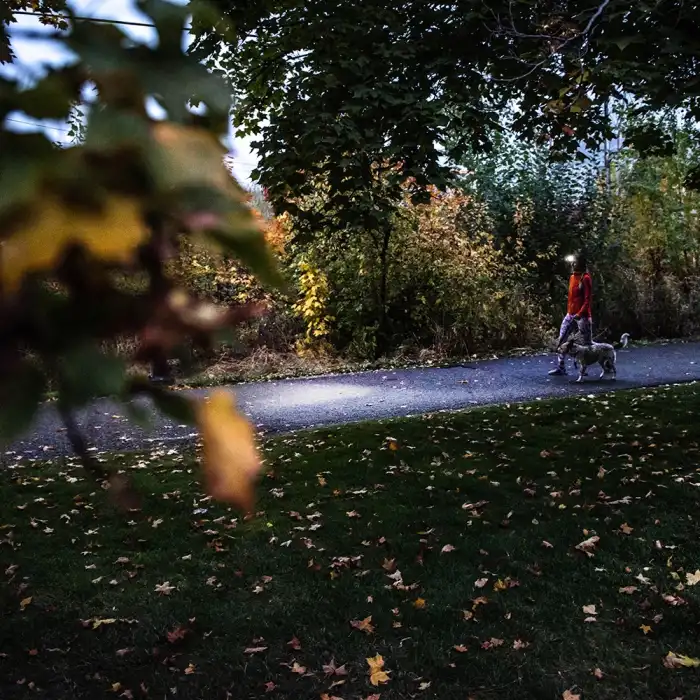 Led Lenser HF4R Core / Black 500 Lümen Kafa Feneri