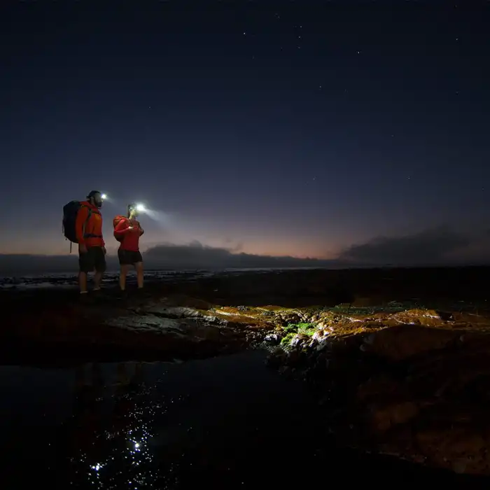 Led Lenser MH8 600 Lümen Kafa Feneri