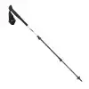 Leki SkyTera Carbon Lite Baton