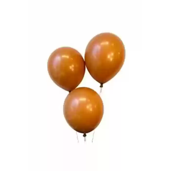 Karamel Rengi Balon 10lu 12inç