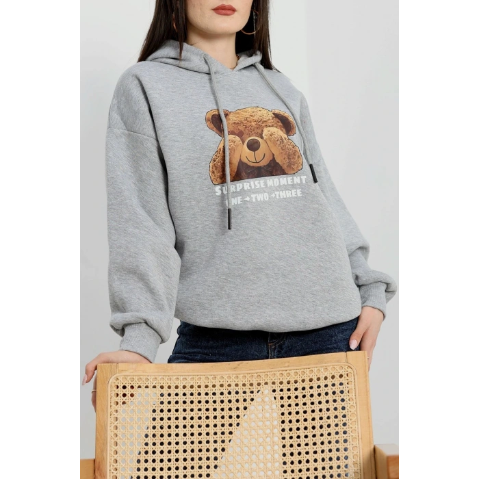 3 İplik Kapşonlu Baskılı Sweat Gri - 42220.1878.