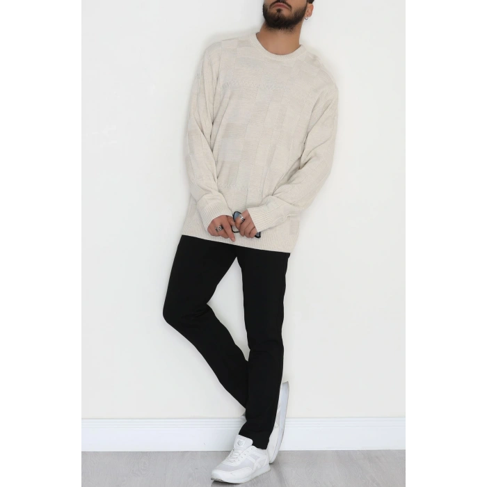 Bisiklet Yaka Desenli Erkek Triko Bej - 70782.1766.