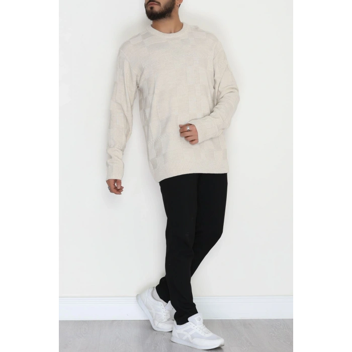 Bisiklet Yaka Desenli Erkek Triko Bej - 70782.1766.