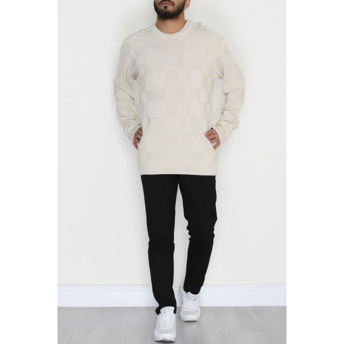 Bisiklet Yaka Desenli Erkek Triko Bej - 70782.1766.