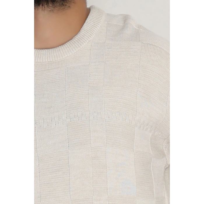 Bisiklet Yaka Desenli Erkek Triko Bej - 70782.1766.