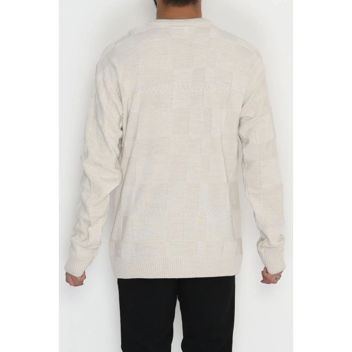 Bisiklet Yaka Desenli Erkek Triko Bej - 70782.1766.