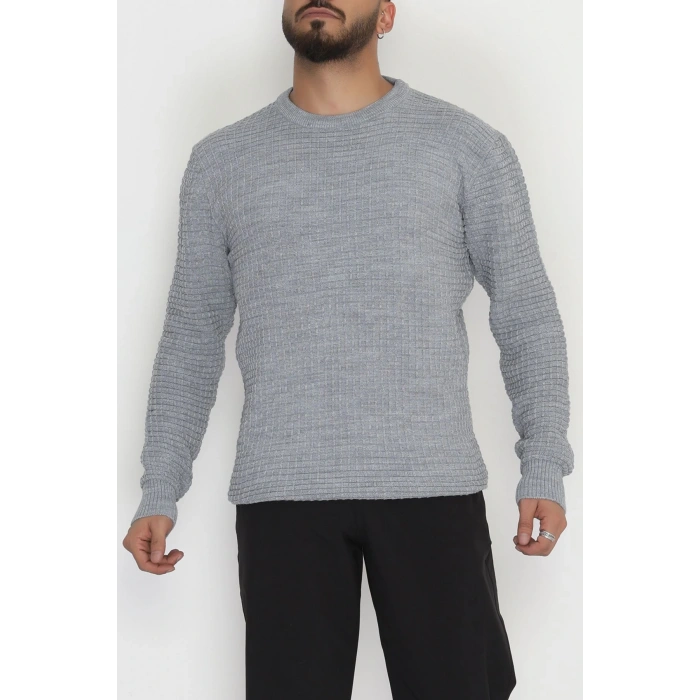 Bisiklet Yaka Desenli Erkek Triko Gri - 70776.1766.