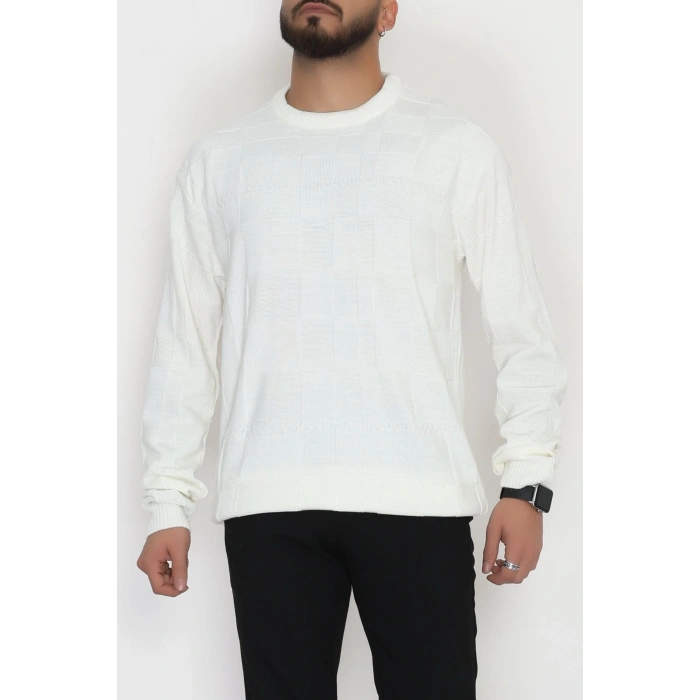 Bisiklet Yaka Desenli Erkek Triko Krem - 70782.1766.