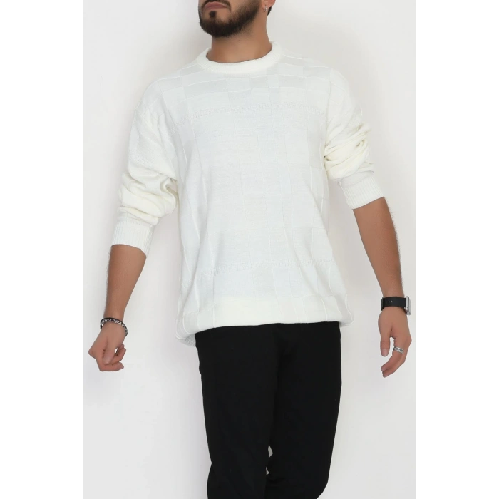 Bisiklet Yaka Desenli Erkek Triko Krem - 70782.1766.