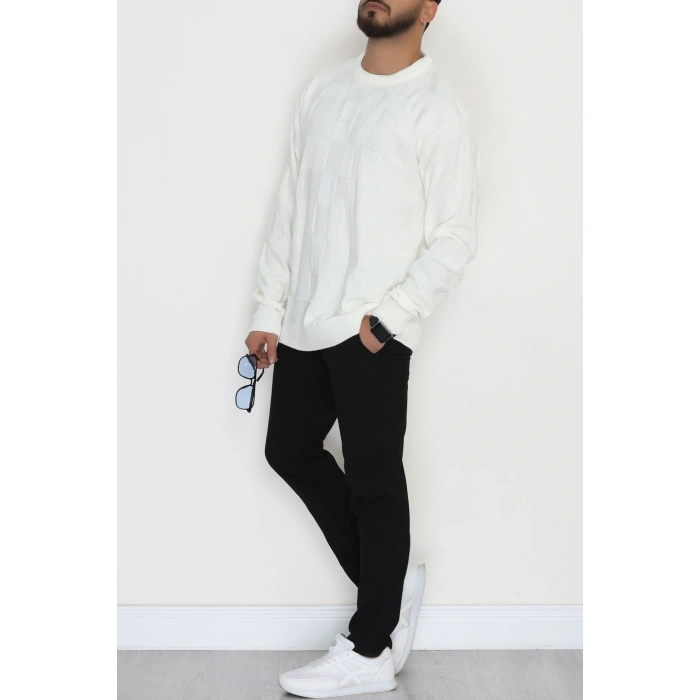 Bisiklet Yaka Desenli Erkek Triko Krem - 70782.1766.