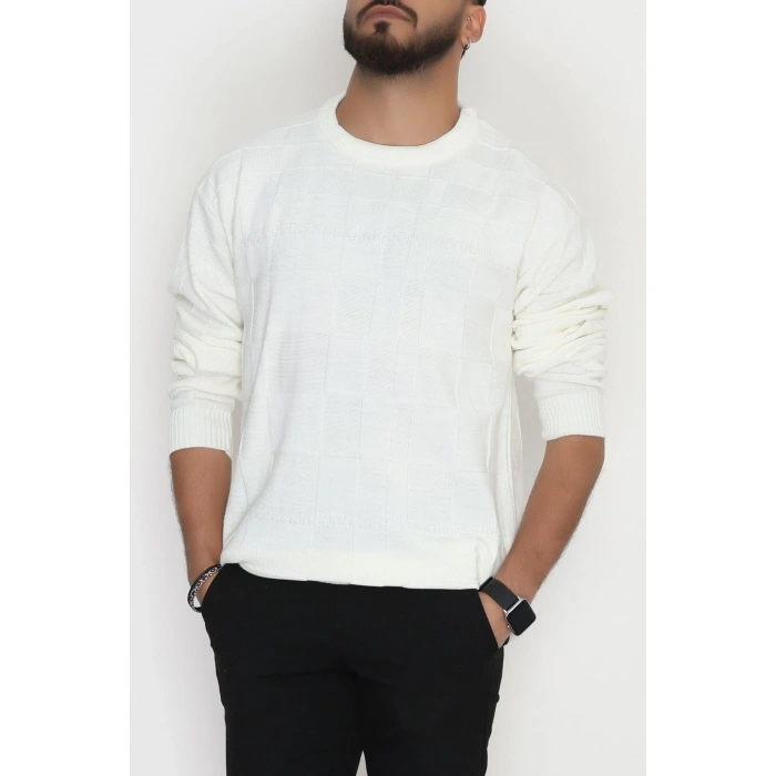 Bisiklet Yaka Desenli Erkek Triko Krem - 70782.1766.