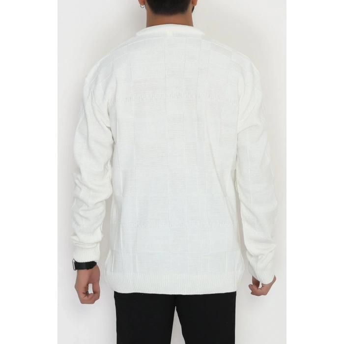 Bisiklet Yaka Desenli Erkek Triko Krem - 70782.1766.