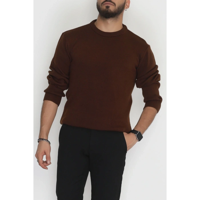 Bisiklet Yaka Erkek Triko Kahve - 70780.1766.