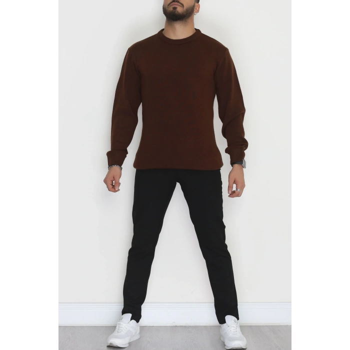 Bisiklet Yaka Erkek Triko Kahve - 70780.1766.