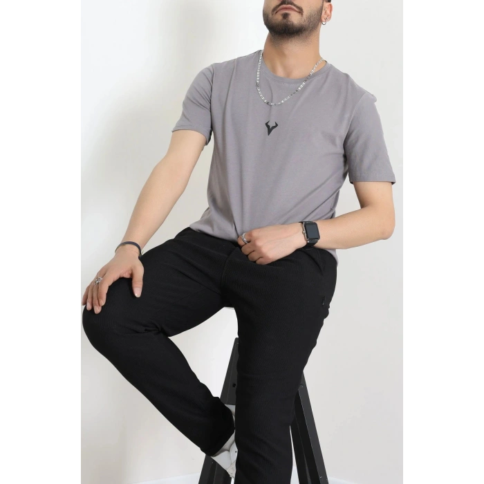 Lüx Penye Regular Baskılı Erkek Tişört Antrasit - 71257.1878.