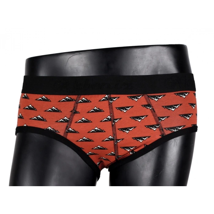 Moda Çizgi Erkek Likralı Slip 40031