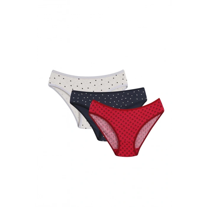 Moda Çizgi Kadın 3lü Külot 40246