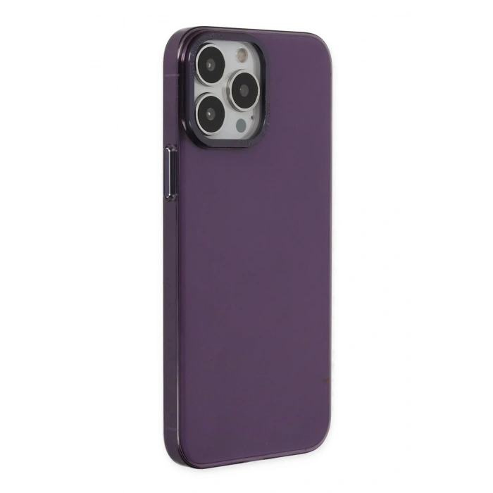Newface iPhone 13 Pro Max Kılıf Anka PC Sert Metal Kapak - Mor