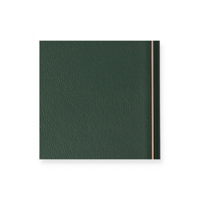 Newface iPhone 7 Plus Kılıf Coco Deri Silikon Kapak - Yeşil