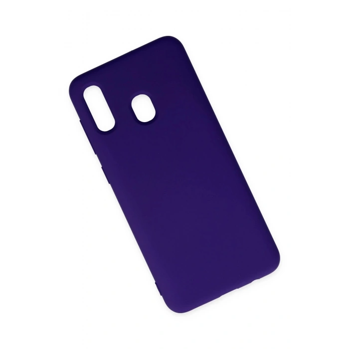 Newface Samsung Galaxy A20 Kılıf Nano içi Kadife Silikon - Mor